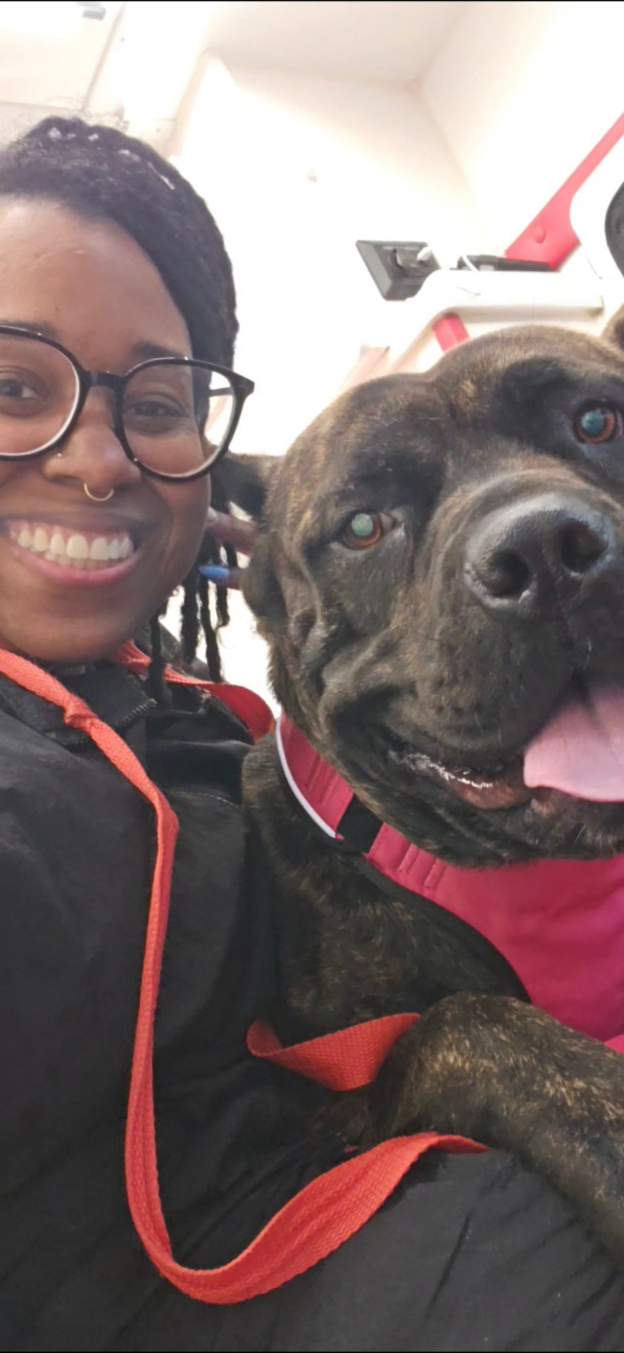 Brittany hugging a large brindle mastiff with a glossy, brushed-out coat after grooming